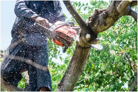 tree services Peshtigo